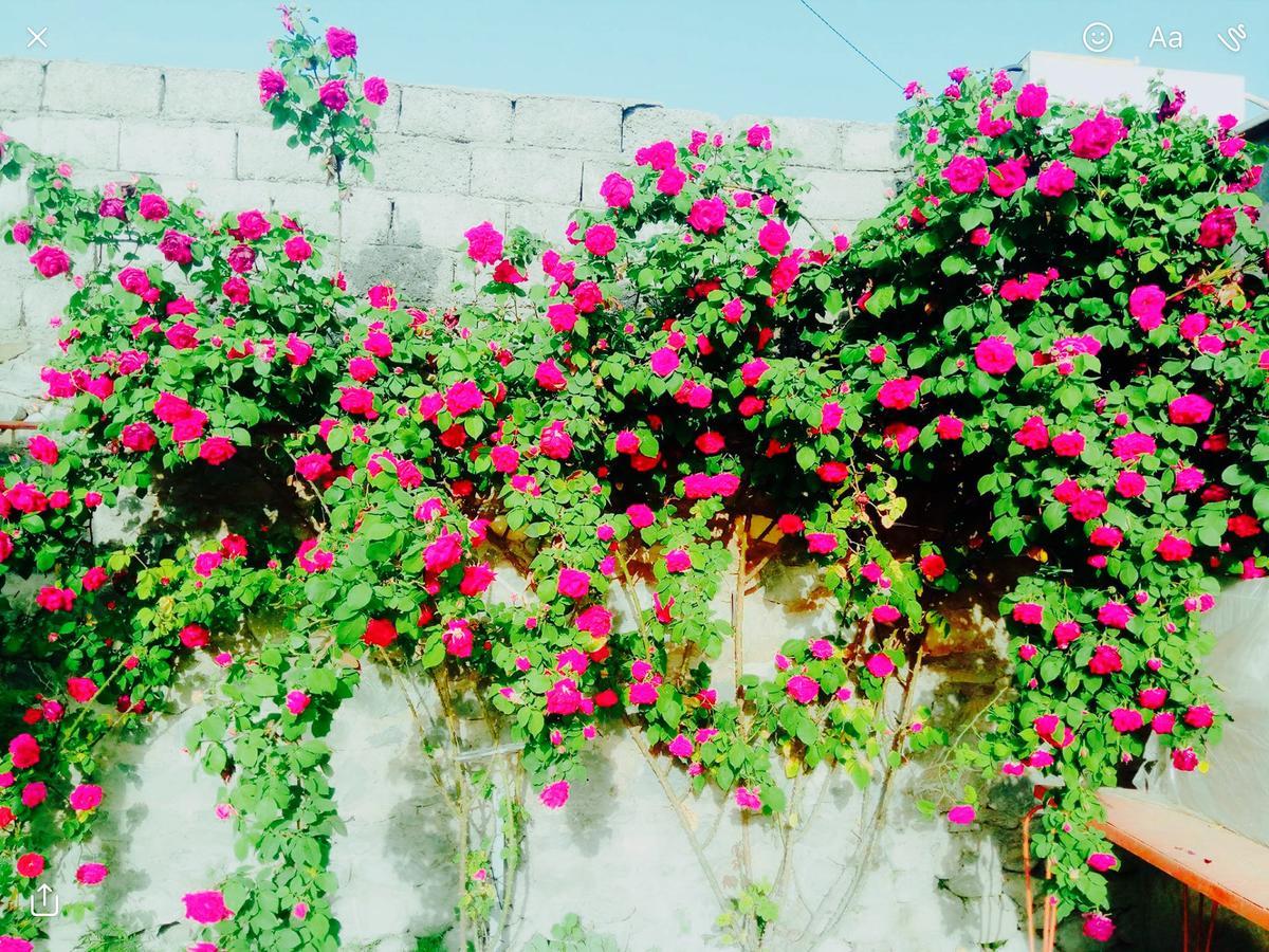 مبيت وإفطار Şǝki House On Ashiq Cuma Street 8 المظهر الخارجي الصورة